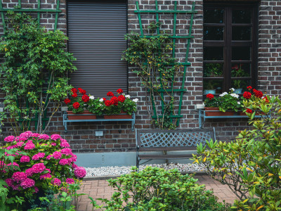 Hoe richt je een onderhoudsvriendelijke tuin in zonder dat het saai wordt