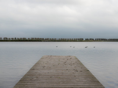 Vlonderplanken kopen voor terras in de tuin