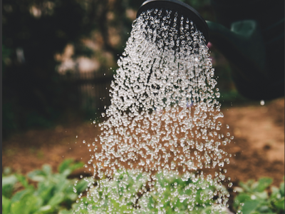 4 Tips voor als je aan de slag gaat in de tuin