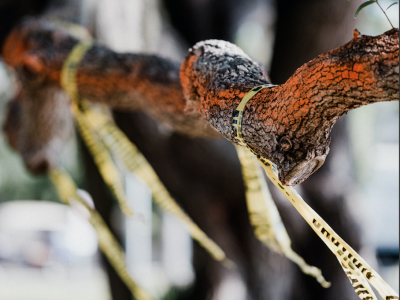 De gevaren van asbest 