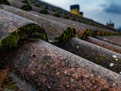 Dit moet je weten als je het dak van je huis wilt laten renoveren