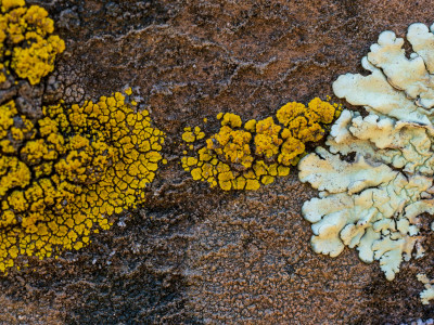 4 tips om vochtproblemen te herkennen en aan te pakken