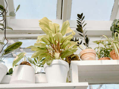 Hoe een vrijstaande tuinkamer ons wooncomfort heeft veranderd